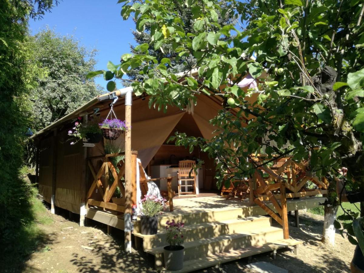 Willa Panorama Spa Ustroń Eksteriør billede