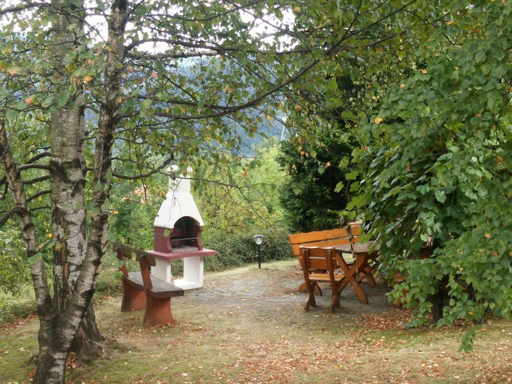 Willa Panorama Spa Ustroń Eksteriør billede